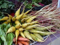 Beautiful produce at a local farm stand.